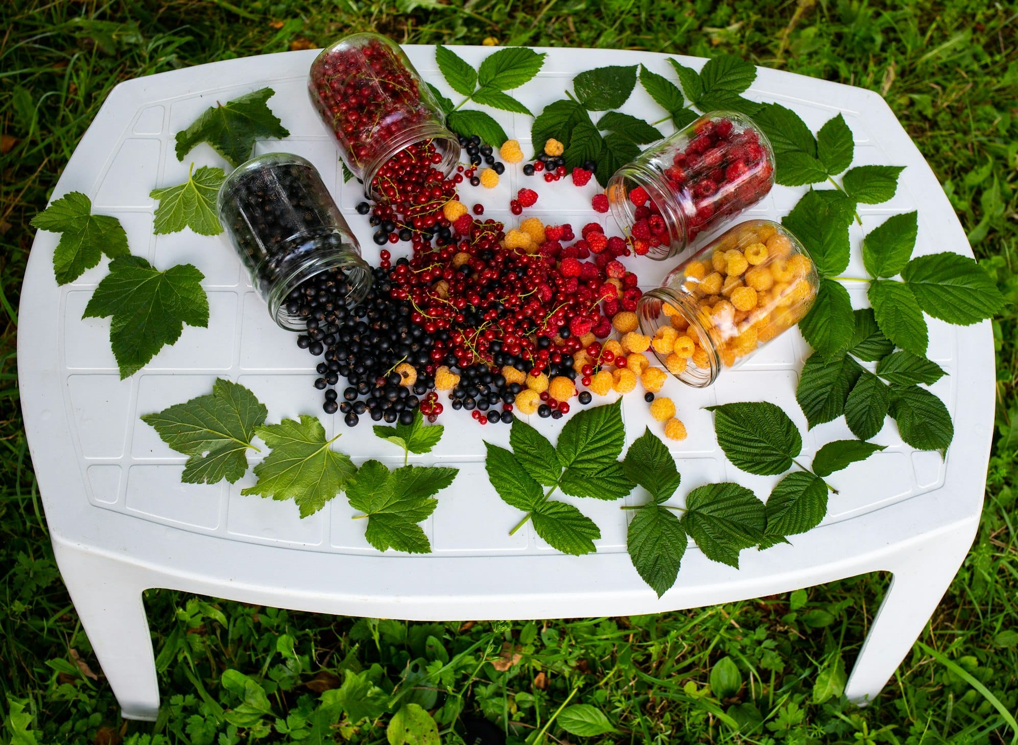 Superfoods Explained: Do They Really Improve Your Health?