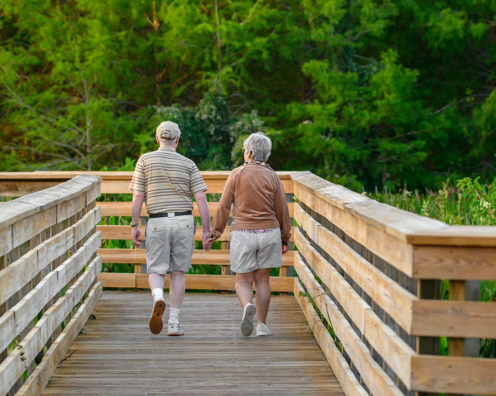 Healthy Aging